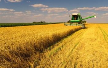 Аграный бизнес Украины