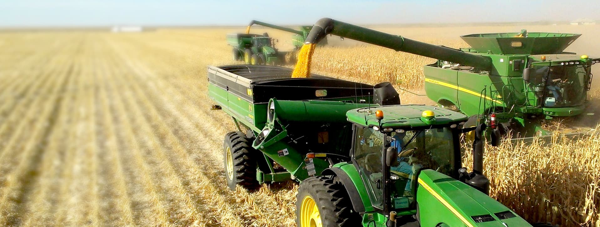 https://agrochampion.org.ua/wp-content/uploads/2018/04/bg_slider.jpg